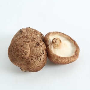 (양양킹버섯) 무농약 친환경 하급 생 표고버섯(1KG, 2KG, 3KG, 5KG, 10KG)